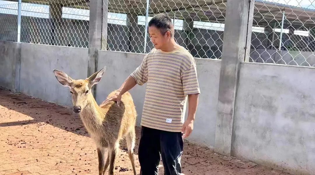 天天斗地主免费游戏